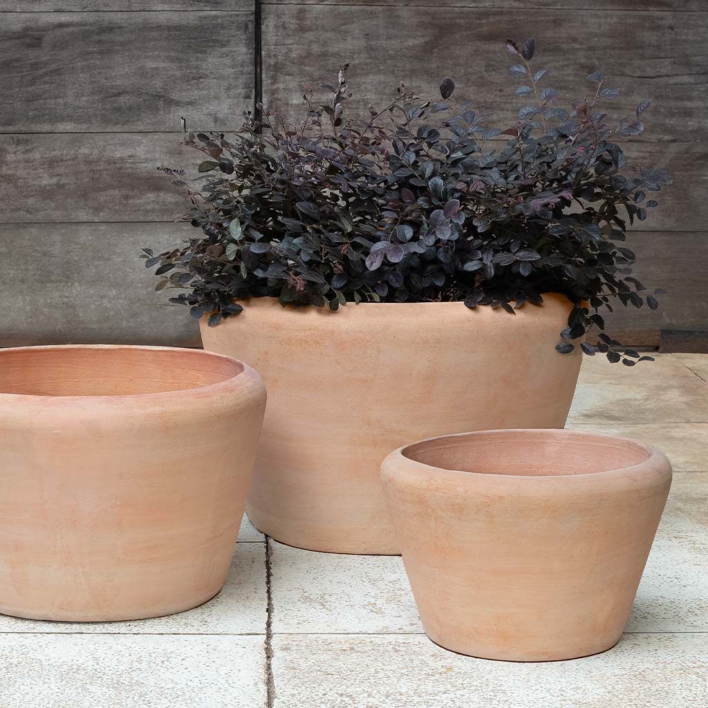clay outdoor plant pots Campania Whitby Planter, Set of 3 - 6492-2403