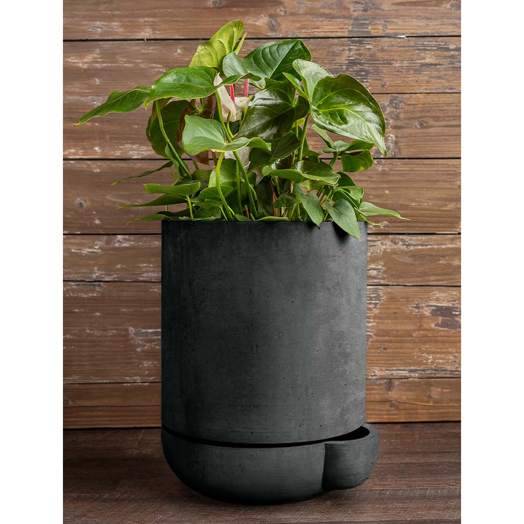 7 gallon pot for plants The Simple Pot, 7 Gallon Planter - Charcoal | Campania International | Fountains & Outdoor Decor