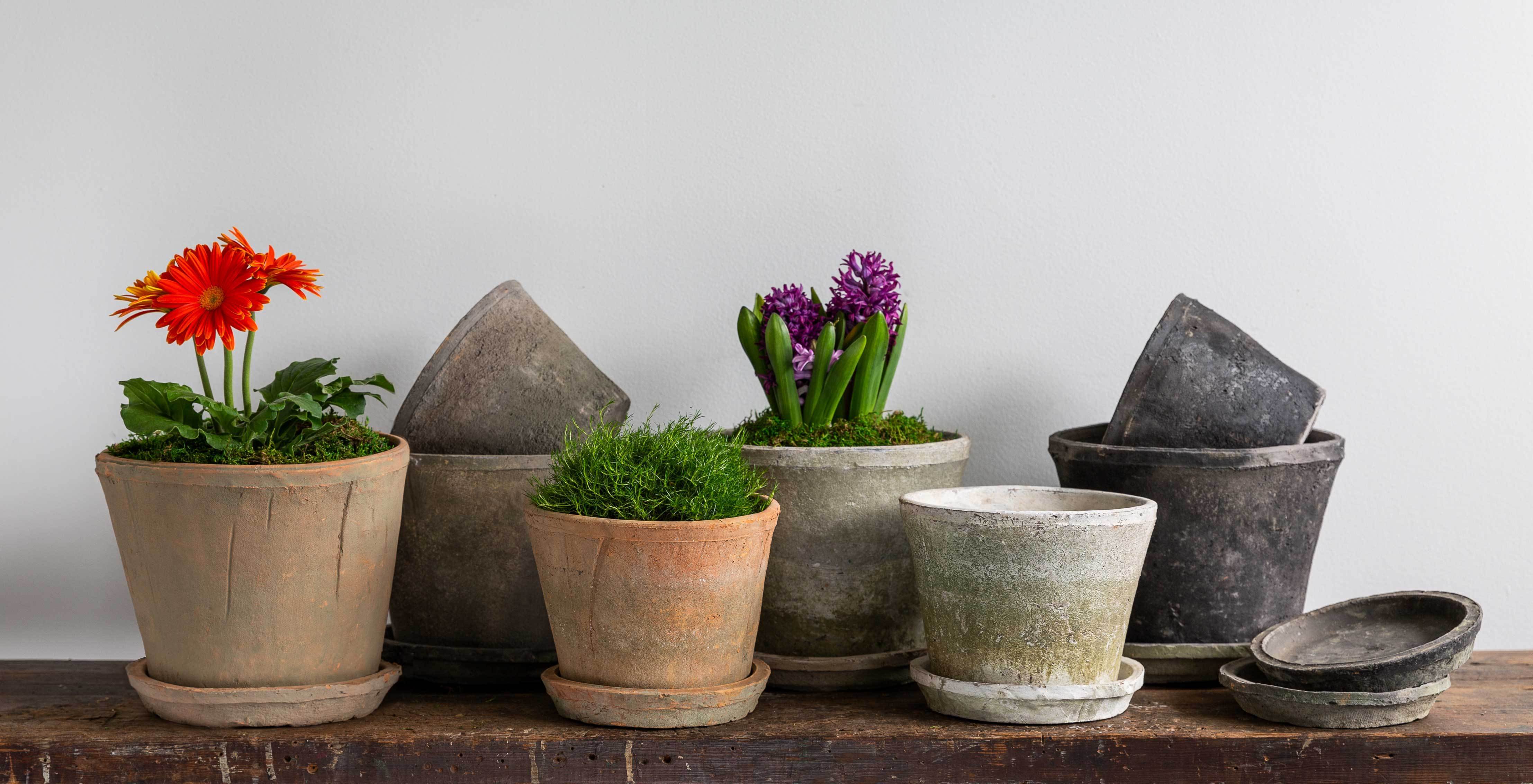 16 pots for plants Campania Tall Cylinder Farmer's Pot - Mixed