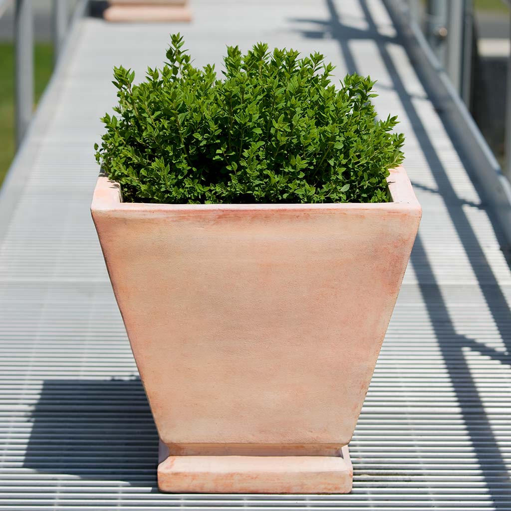 square terracotta plant pots Campania 342114-2402 Lisburn Planter