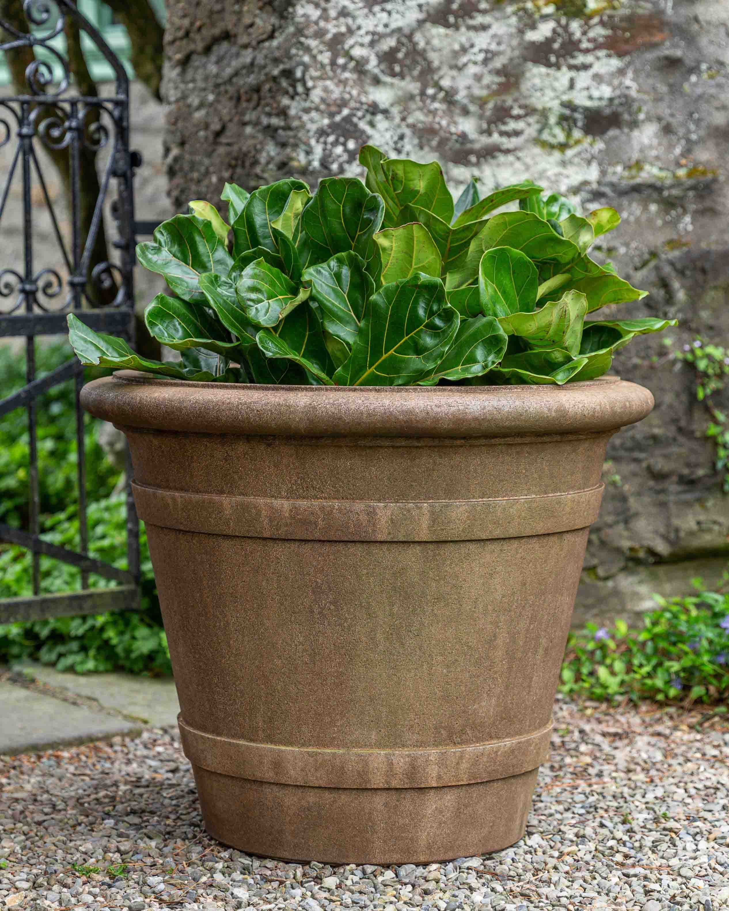 water plant pots for sale Campania Faccia Planter