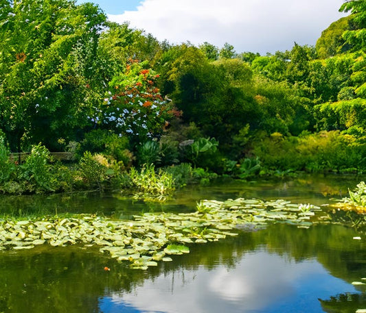 13 Reasons Why Ponds Make Gardens More Outstanding