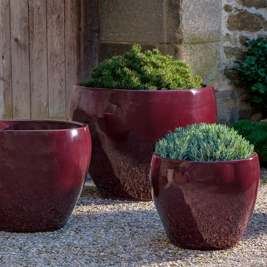 Cabachon Planter - Plum - S/3