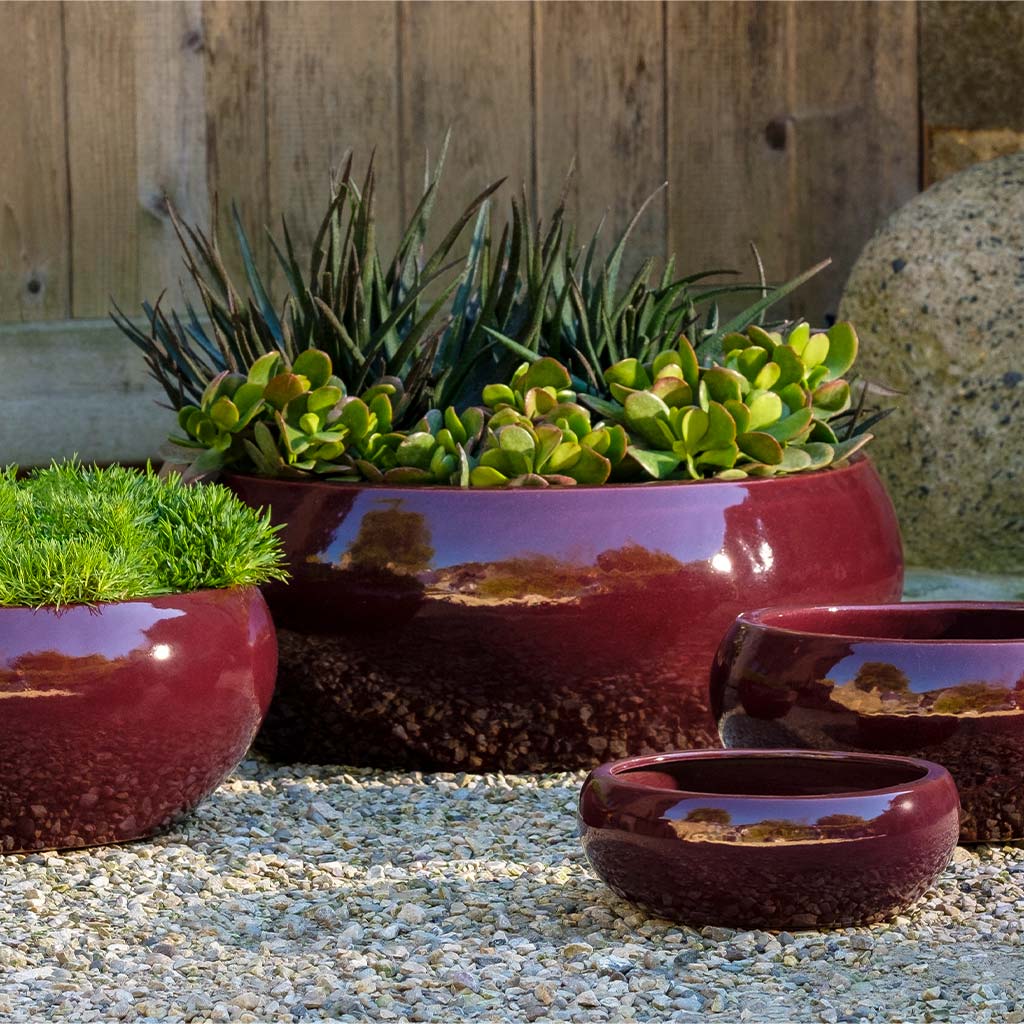 garden sprayer o ring replacement Sasha Planter - Plum