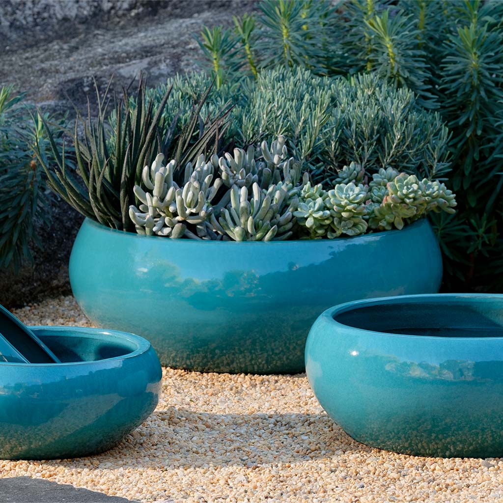 Sasha Planter - Agave - S/4