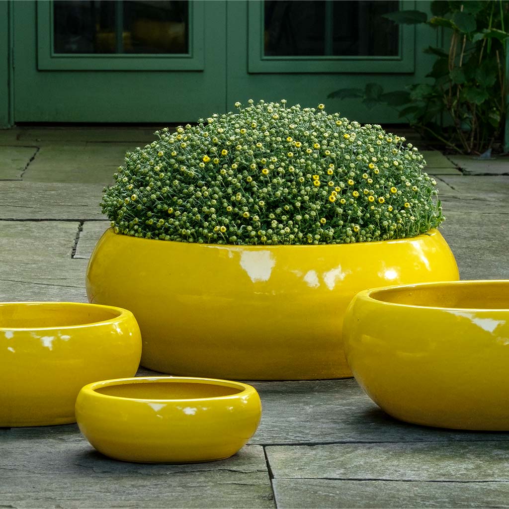 Sasha Planter - Limon - S/4