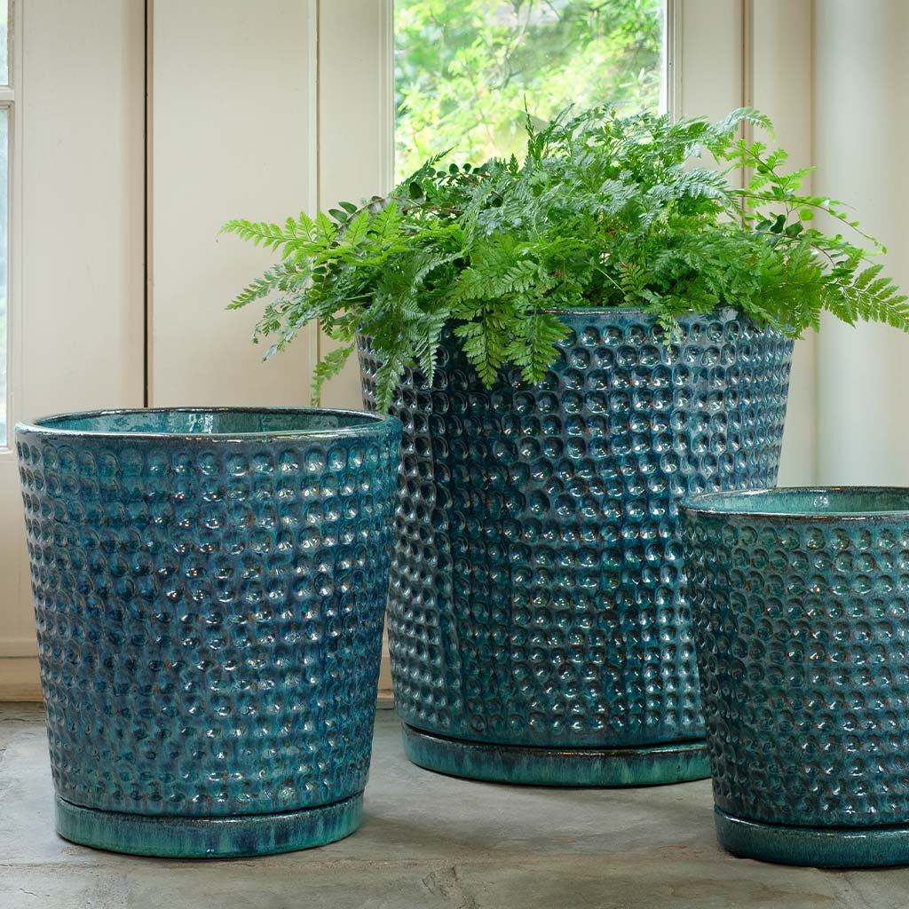 Campania I/O Coin Pot  Aqua
