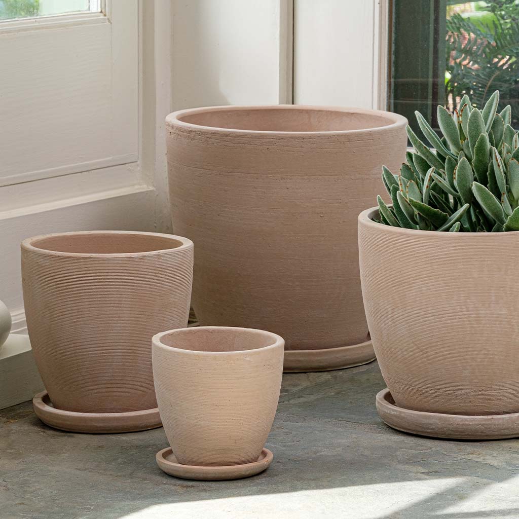 Lara Planter - Shell - S/4