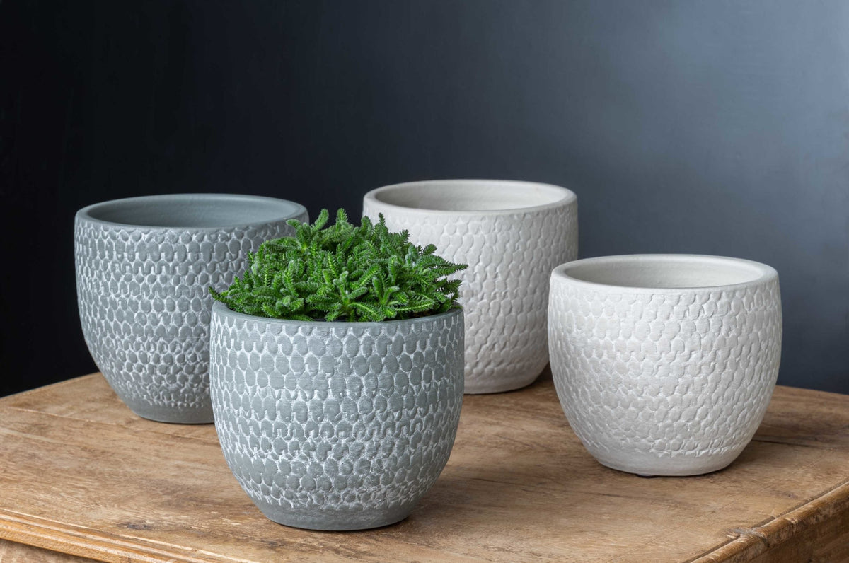 Campania Scalloped Bowl and Planter - Grey and Eggshell Mix - Set of 8