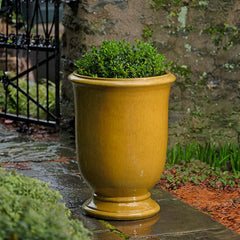 Campania Antibe Urn  Honey