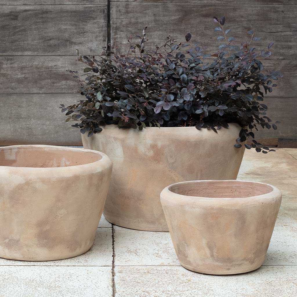 Whitby Planter - Antico Terra Cotta - S/3