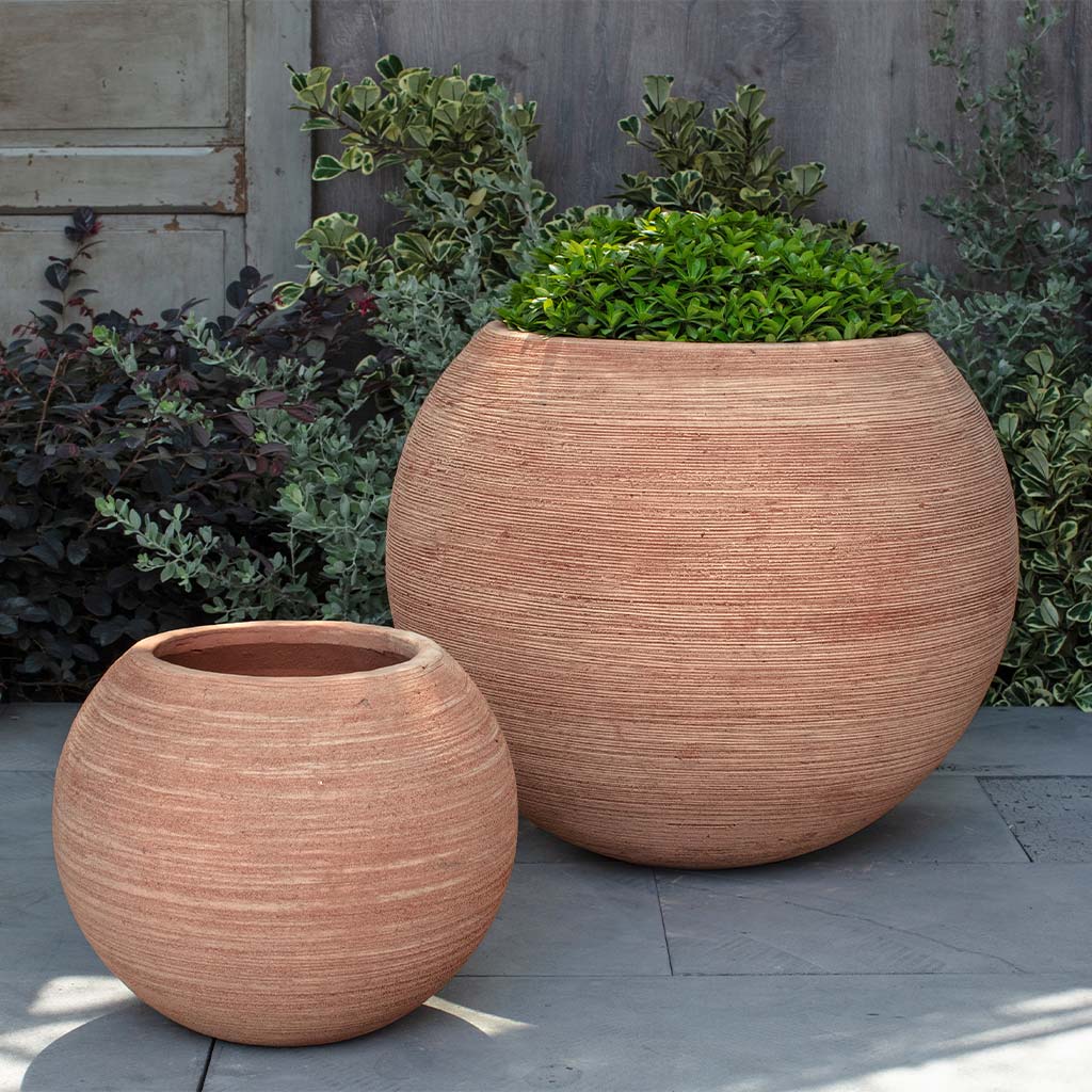 Allium Planter - Terra Cotta - S/2