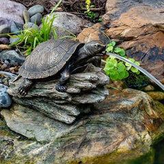 Aquascape turtle on a log spitter