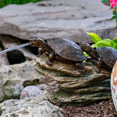 Aquascape double turtle on a log spitter