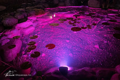 Aquascape LED Color-Changing Lights