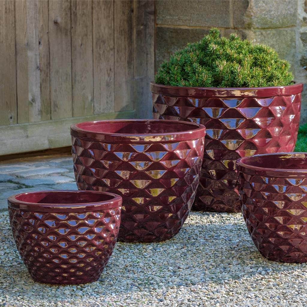 Honeycomb Planter - Plum - S/4