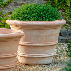 Classic Double Rolled Rim 27" - Terra Cotta - S/1