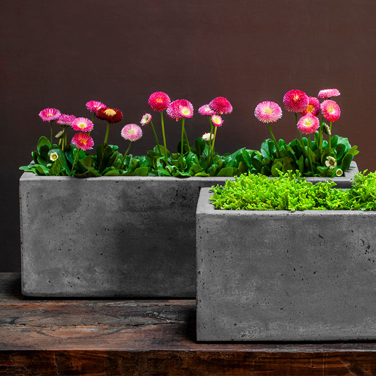 Campania Geo Planters - Fiber Cement - Set of 4