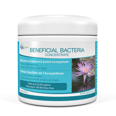 Aquascape Beneficial Bacteria for Ponds Dry