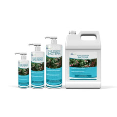 Aquascape Pond Starter Bacteria (Liquid)