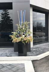 Gardenstone Montana