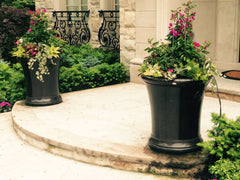 Gardenstone Solaris