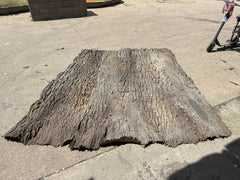 Cottonwood Panel Resting Flat on Ground, Showcasing Texture and Edge Design