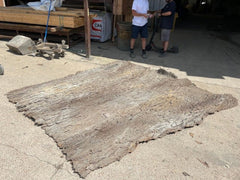 Alternate Angle of Cottonwood Panel Flat on Ground, Showcasing Depth