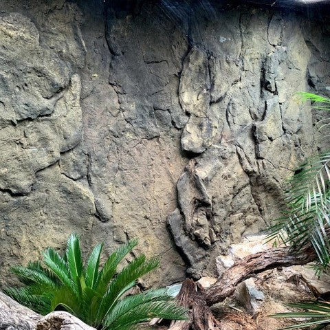 A Large Zoo Enclosure. The Back Wall is Covered using the Grotto Rock Panel.