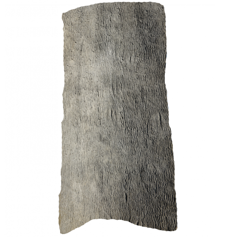 Pecan Wood Panel laid Flat against white background