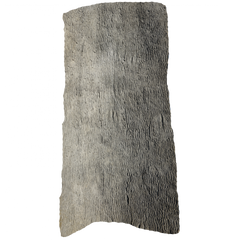 Pecan Wood Panel laid Flat against white background