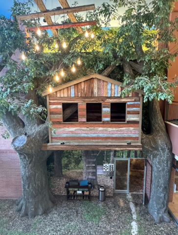 A Large replica Treehouse embedded in a building wall. To Either Side, Pecan Bark Panels Mimic Trees supporting the structure