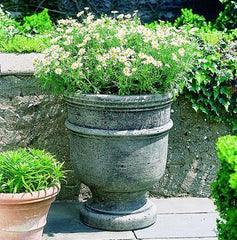 Campania St. Remy Urns