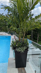 Gardenstone Montana