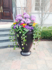Gardenstone Orion