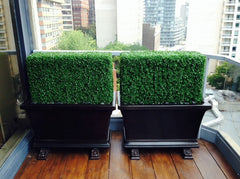 Gardenstone Aurora Trough