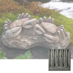 Campania Sea Crabs Fossil