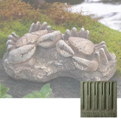 Campania Sea Crabs Fossil