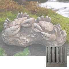 Campania Sea Crabs Fossil
