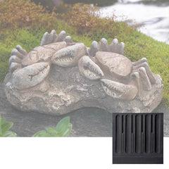 Campania Sea Crabs Fossil