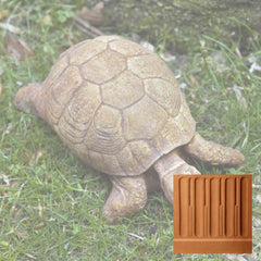 Campania Turtle