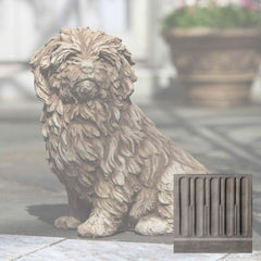 Campania Fluffy Dog