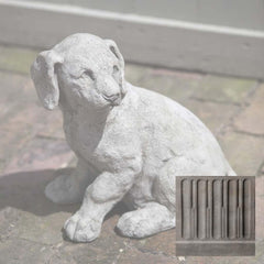 Campania Lab Pup