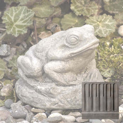 Campania Tiny Frog