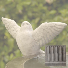 Campania Flutter