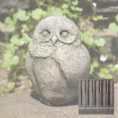 Campania Baby Barn Owl