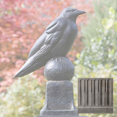 Campania Raven