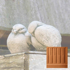 Campania Duet