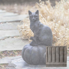 Campania Cat on Pumpkin