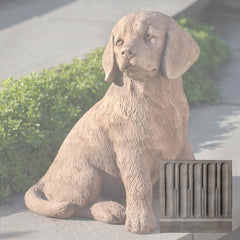 Campania Golden Retriever Puppy
